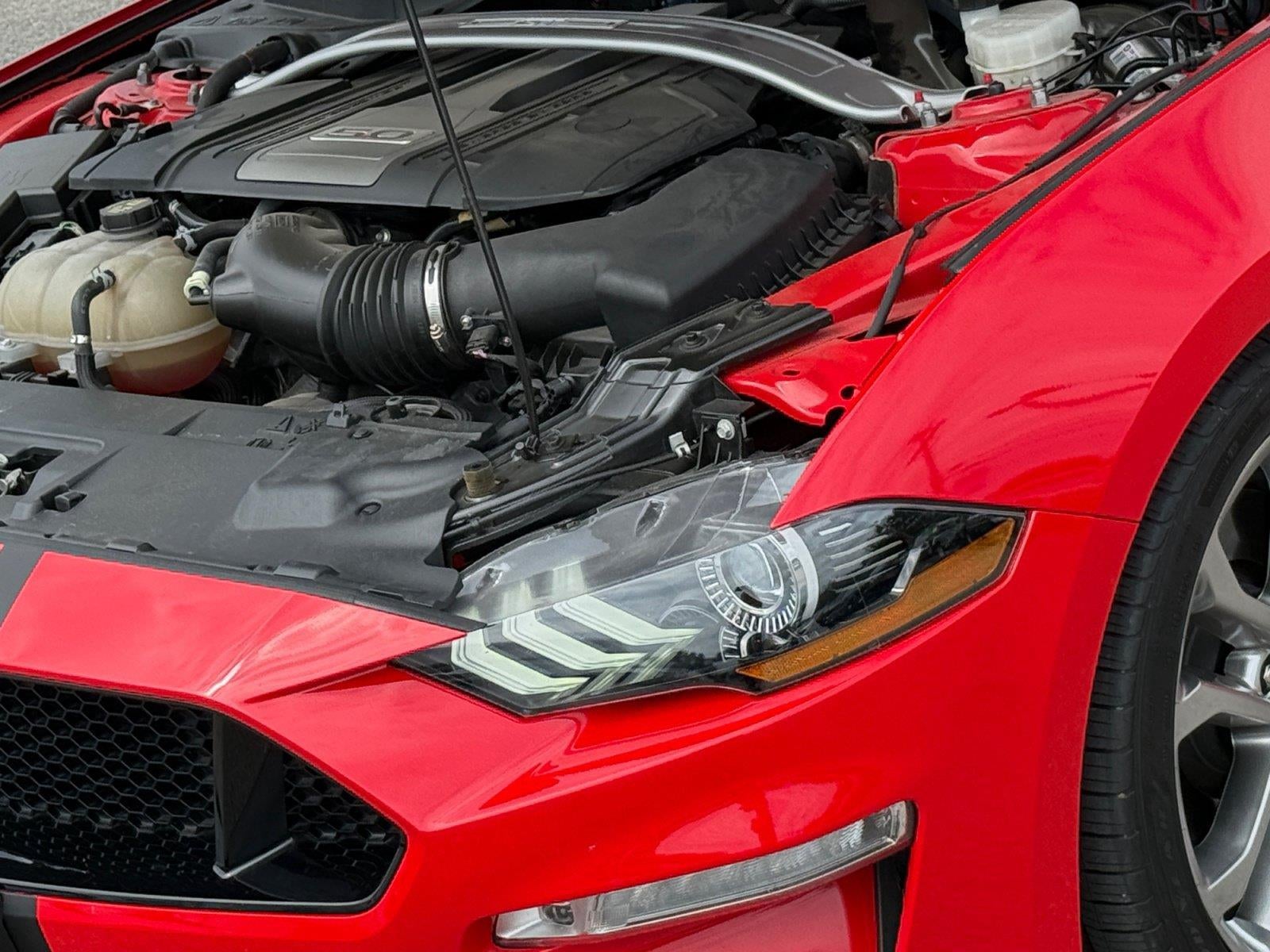 2019 Ford Mustang GT Premium