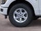 2026 Ford F150 PU XLT